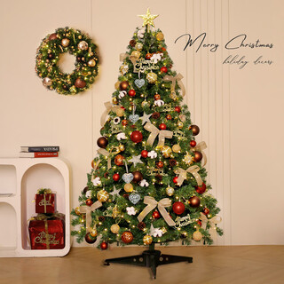 Onizi christmas tree christmas decoration christmas tree package christmas decoration encrypted christmas tree set light luxury 1.8 meters