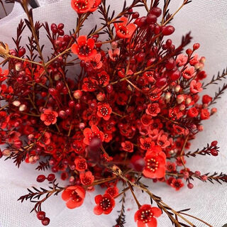 Qianqian whispering dounan base venta al por mayor directa de flores de rosas entrega urgente a nivel nacional regalos para novias arreglos florales cultivados en agua familia sf express envió un manojo de dulces de invierno rojos