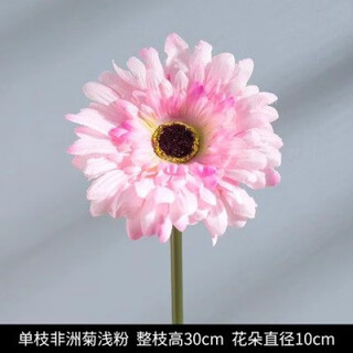 Pupan artificial plant flower potted indoor daisy ornaments sunflower artificial flower decoration dry flower set bouquet artificial flowers 3 gerbera light pink