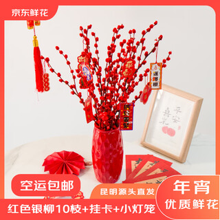 Jingdong flowers new year's eve red silver willow cut branches home decoration 10 branches (50cm) free hanging card + 2 lanterns directly from the source