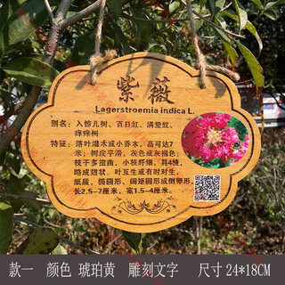 Arbor day tree sign, flowers and trees introduction sign, plant name tag, kindergarten adoption anti-corrosion signage customization 24*18cm paulownia tree sign one (amber)