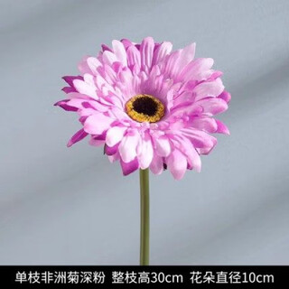 Pupan artificial plant flower potted indoor daisy ornaments sunflower artificial flower decoration dry flower set bouquet artificial flowers 3 gerbera deep pink