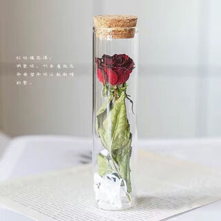 Give you a small red flower glass test tube dried bouquet eternal wishing bottle specimen wedding graduation birthday gift red rose wishing bottle