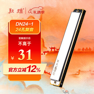 Dunhuang 24-hole polyphonic harmonica dn24-1 silver, recommended for adult beginners, c key, entry-level performance