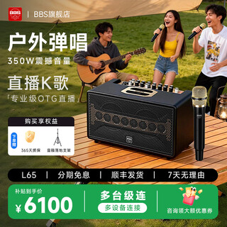 Bbsms5 wireless microphone home ktv singing stage hosting speech k song conference speaker audio one to two microphones ms5 yaojin black bbs l65 playing and singing audio yaojin black package