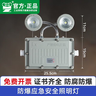 Yaming lighting explosion-proof emergency light led evacuation sign fire lighting gas station ex explosion-proof safety exit indicator light explosion-proof double-head emergency light-explosion-proof emergency light