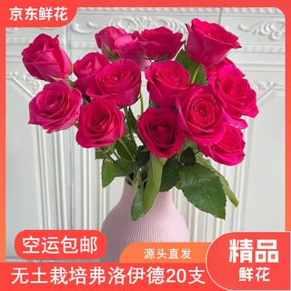 Jingdong flowers boutique water-cultured soilless culture new year's eve flowers valentine's day rose floyd 20 pack 50cm straight from the source