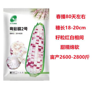 Большая площадь посева черного и белого желтого цвета, сладкая плюс восковая суперсладкая фруктовая кукуруза, высокая урожайность и ранний срок созревания, оптовая продажа guangdong cainuo № 2 one jin jin, равна 0,5 кг.