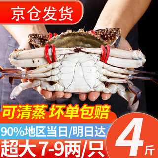 Wangmu swimming crab, zhoushan swimming crab, seasonal new crab, big crab, fresh frozen, sea crab, flying crab, seafood and aquatic products, can be steamed, about 7-9 taels/piece, net weight 4jin, jin is equal to 0.5kg