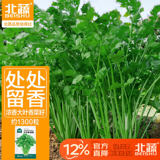 Beishu coriander seed old variety small leaf potted four-season rapeseed seedlings ye duowei coriander seed seeds about 1300