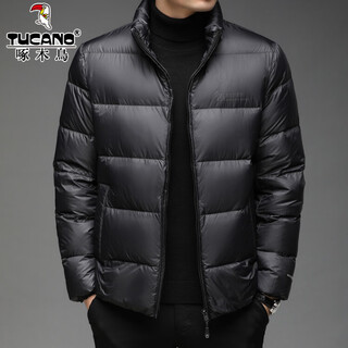 Woodpecker 90 white duck down down jacket stand collar men's winter business casual stand collar warm bread coat middle-aged large size jacket rr-yr8034 dark gray purple m 170