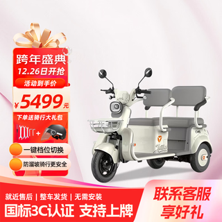 Yadi cm6 new national standard electric tricycle for adults, men and women to pick up and drop off children, for the elderly, double-row, powerful battery car, gray + 23a enhanced graphene lead-acid package installation