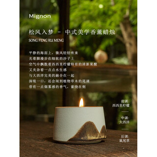 Shantou lincun gnon rain sleep thing pine breeze enters the dream scented candle gift box pine breeze enters the dream
