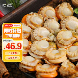 Fresh large frozen yellow scallop meat net weight 2jin jin is equal to 0.5kg, about 80-120 pieces of barbecue hot pot ingredients, seafood and aquatic products as gifts