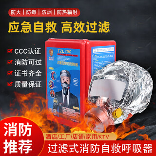Fire smoke mask, gas mask, hotel home fire escape filter self-rescue respirator mask, daily safe children's model