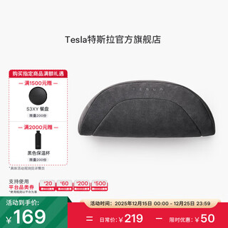 Tesla official tesla model 3/model y/model y l headrest (single) pillow
