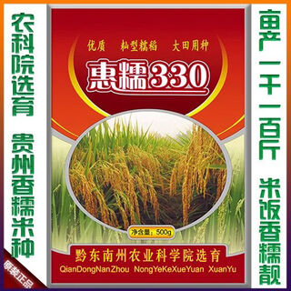 Guizhou glutinous rice seeds, long-grain fragrant glutinous rice seeds, paddy field seeds, glutinous rice seeds, pearl glutinous rice seeds, early and late rice seeds, huinuo 330, one pack (500g long glutinous rice) regular