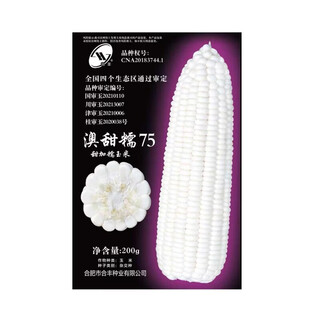 旺园兴白甜糯玉米种子高产杂交玉米种籽早熟白甜糯玉米种子澳甜糯75 1包【澳甜糯75（大包）】200克【约750粒/包】