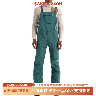 Arc teryx saber bib m gore tex bib ski pants men's new year gift green/pytheas l