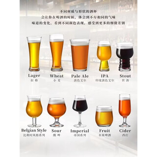 Fantasy craft beer mug, pint mug, draft beer mug, 10 pieces, ten colors