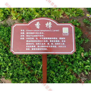 Индивидуальная ознакомительная карточка бренда китайской фитотерапии из цельного дерева, ознакомительная карточка растений, марка земли, марка сорта цветов, марка науки о деревьях, стиль-14 (настраиваемый контент) 20,00x30,00 см