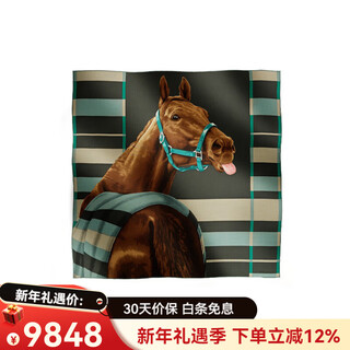 Hermes single horse pattern wool scarf men's multi-color multi-color f