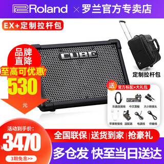 Roland speaker cube street ex second generation internet celebrity outdoor live broadcast guitar playing and singing road show portable audio ex speaker + trolley bag