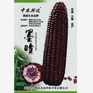 Mo tong черные фрукты семена кукурузы свежие съедобные большие палочки семена сладкой кукурузы национальное одобрение семена кукурузы mo tong 50 г оригинал