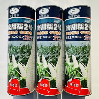 Большая площадь посева черного и белого желтого цвета, сладкая плюс восковая суперсладкая кукуруза, высокая урожайность и ранний срок созревания, оптовая продажа mitiannuo № 2 1 jin jin, равна 0,5 кг.