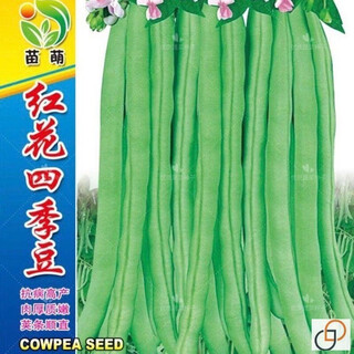 Wangyuanxing red flower white pod kidney bean seeds with frame kidney bean seeds autumn and spring early maturing high yield thick flesh spring and autumn sowing genuine packaging 2 packs about 120 + free fertilizer, new seeds - red flower kidney bean seeds