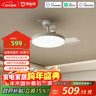 Mijia (mijia) xiaomi mijia fan light ceiling fan light invisible bedroom 42-inch full spectrum ra97 lamp installation included