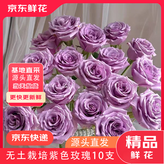 Jingdong flowers purple rose boutique soilless culture new year's eve flowers valentine's day purple roses 10 pack 45cm+ straight from the source