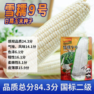 Pure glutinous corn seeds xuenuo no. 9 big stick white waxy corn wrapped grain seeds 200g/bag original waxy corn seeds xuenuo no. 9 1 bag 200g/bag
