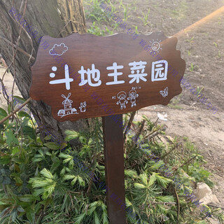 Customized wooden brand park vegetable garden vegetable field wooden grass planting area sign vertical ground insert sign to care for flowers and plants 2 models 30*15cm