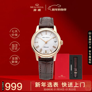 Seagull (seagull) watch ladies automatic mechanical watch calendar ladies watch birthday gift ladies watch set d519.405l