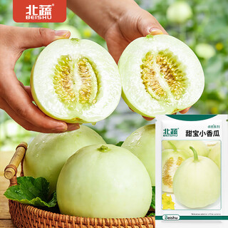 Beishu melon seeds emerald rock sugar seeds croissant honey white sand honey spring cantaloupe seeds beishu zhuo crisp sweet sweet cantaloupe seeds 5g 2 bags
