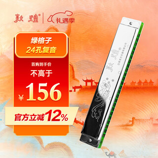 Dunhuang 24-hole polyphonic harmonica, retro green lattice silver cover, recommended for adult beginners, c key, entry-level performance