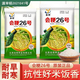 Оригинальные семена альпийского риса huijing № 26, семена высокогорного риса, обычный рис можно зарезервировать для посева риса. huijing № 26, семена обычного риса, 2 jin jin, равны 0,5 кг/1 мешок.