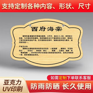 Вывеска о дереве, Знакомство с растениями, Табличка с именем дерева по индивидуальному заказу, Знак посадки деревьев, Знак ознакомления с деревьями, акрил sp-61 30х20см