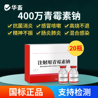 Huazhu veterinary medicine penicillin sodium injection veterinary medicine anti-inflammatory drug antibiotic for pigs and cattle and sheep 1 box 4 million penicillin sodium 2.4gx20 bottles