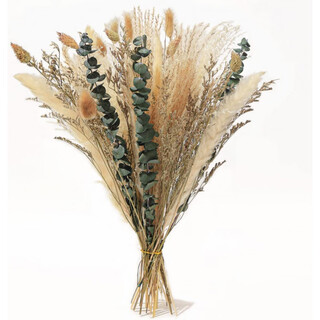 Mppmck small reed dried bunchgrass preserved flower set wedding decoration home window decoration reed dried flower hs02