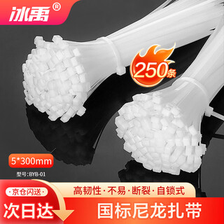 Bingyu byb-01 nylon tie, nylon tie, plastic tie, self-locking nylon cable management tape 5*300mm national standard (250 pieces)
