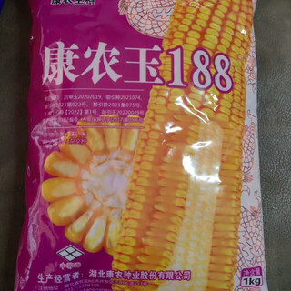 Семена кукурузы kangnong jade 188, высокая урожайность, устойчивость к полеганию, устойчивость к болезням и негнилой оригинал. 2jin jin равен 0,5 кг оригинала.