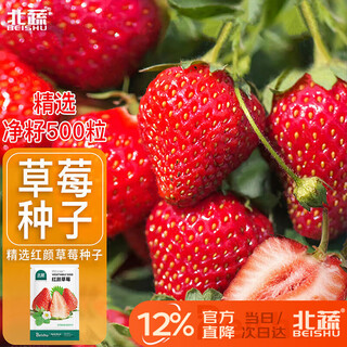 Beishu strawberry seed seedlings, cream strawberry potted with soil, winter and spring four seasons fruit seeds, red strawberry seeds 500 capsules