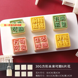 Gioio mini mooncake mold, one mold, multiple bottoms, square, cute mung bean cake, cartoon flowing heart, children's ice skin, embossed baking, 30g, all things cute, 1 stamper + 6 flower pieces