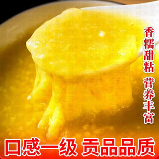 Nouvelle variété de l'académie des sciences agricoles, riz parfumé, graines de millet jaune, graines de millet, vinification, boulettes de riz gluant, millet résistant à la verse et aux maladies. nouvelle sélection de l'académie des sciences agronomiques, collante, sucrée et parfumée, variété à haut rendement de première génération 2 jin jin équivaut à 0,5 kg + 365 jours de conseils de plantation