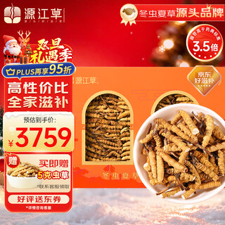 Yuanjiang grass, cordyceps sinensis, cordyceps sinensis, selected cordyceps sinensis, affordable package, nutritional supplements for the elderly, self-use gift box, 50g cordyceps sinensis, free 5 grams