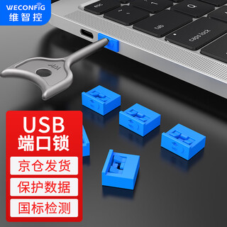 Weizhikong enterprise usb port data usb security lock usb lock sealing plug usb safety plug usb dust plug blue (10 pcs + 1 tool) removable