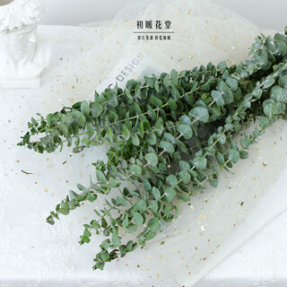 Dried flowers multi-headed roses air-dried handmade flowers real flowers graduation photo living room decoration ins home furnishings ins style eucalyptus leaves dried flowers 10 pieces