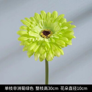 Pupan artificial plant flower potted indoor daisy ornaments sunflower artificial flower decoration dry flower set bouquet artificial flower 3 gerbera green